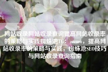网站收录网站收录查询提高网站收录率的策略与实践蜘蛛池TG：zzcseo，提高网站收录率的策略与实践，蜘蛛池SEO技巧与网站收录查询指南