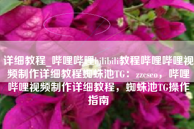 详细教程_哔哩哔哩bilibili教程哔哩哔哩视频制作详细教程蜘蛛池TG：zzcseo，哔哩哔哩视频制作详细教程，蜘蛛池TG操作指南