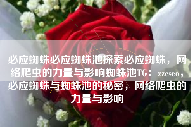 必应蜘蛛必应蜘蛛池探索必应蜘蛛，网络爬虫的力量与影响蜘蛛池TG：zzcseo，必应蜘蛛与蜘蛛池的秘密，网络爬虫的力量与影响