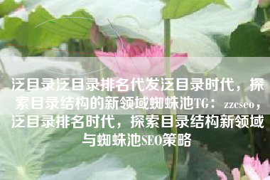 泛目录泛目录排名代发泛目录时代，探索目录结构的新领域蜘蛛池TG：zzcseo，泛目录排名时代，探索目录结构新领域与蜘蛛池SEO策略