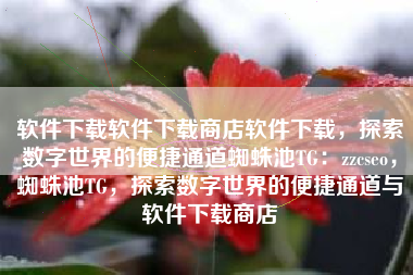 软件下载软件下载商店软件下载，探索数字世界的便捷通道蜘蛛池TG：zzcseo，蜘蛛池TG，探索数字世界的便捷通道与软件下载商店