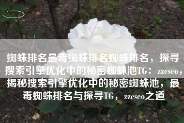 蜘蛛排名最毒蜘蛛排名蜘蛛排名，探寻搜索引擎优化中的秘密蜘蛛池TG：zzcseo，揭秘搜索引擎优化中的秘密蜘蛛池，最毒蜘蛛排名与探寻TG，zzcseo之道