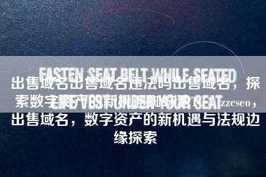 出售域名出售域名违法吗出售域名，探索数字资产的新机遇蜘蛛池TG：zzcseo，出售域名，数字资产的新机遇与法规边缘探索