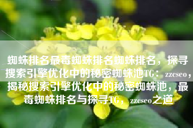 蜘蛛排名最毒蜘蛛排名蜘蛛排名，探寻搜索引擎优化中的秘密蜘蛛池TG：zzcseo，揭秘搜索引擎优化中的秘密蜘蛛池，最毒蜘蛛排名与探寻TG，zzcseo之道
