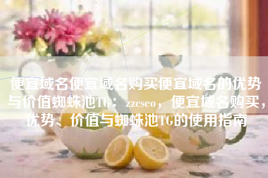 便宜域名便宜域名购买便宜域名的优势与价值蜘蛛池TG：zzcseo，便宜域名购买，优势、价值与蜘蛛池TG的使用指南