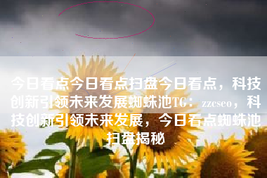 今日看点今日看点扫盘今日看点，科技创新引领未来发展蜘蛛池TG：zzcseo，科技创新引领未来发展，今日看点蜘蛛池扫盘揭秘