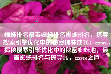 蜘蛛排名最毒蜘蛛排名蜘蛛排名，探寻搜索引擎优化中的秘密蜘蛛池TG：zzcseo，揭秘搜索引擎优化中的秘密蜘蛛池，最毒蜘蛛排名与探寻TG，zzcseo之道