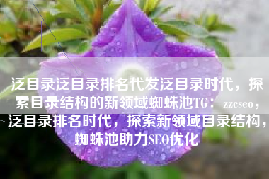 泛目录泛目录排名代发泛目录时代，探索目录结构的新领域蜘蛛池TG：zzcseo，泛目录排名时代，探索新领域目录结构，蜘蛛池助力SEO优化