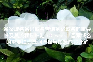 备案域名备案域名查询备案域名的重要性及其流程蜘蛛池TG：zzcseo，备案域名的重要性、查询流程与蜘蛛池TG详解