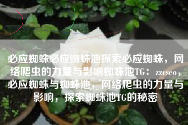 必应蜘蛛必应蜘蛛池探索必应蜘蛛，网络爬虫的力量与影响蜘蛛池TG：zzcseo，必应蜘蛛与蜘蛛池，网络爬虫的力量与影响，探索蜘蛛池TG的秘密