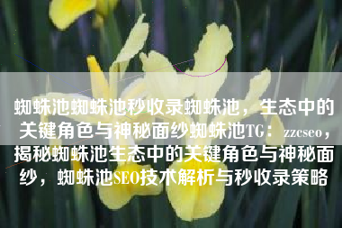 蜘蛛池蜘蛛池秒收录蜘蛛池，生态中的关键角色与神秘面纱蜘蛛池TG：zzcseo，揭秘蜘蛛池生态中的关键角色与神秘面纱，蜘蛛池SEO技术解析与秒收录策略