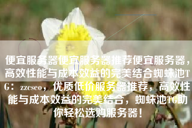 便宜服务器便宜服务器推荐便宜服务器，高效性能与成本效益的完美结合蜘蛛池TG：zzcseo，优质低价服务器推荐，高效性能与成本效益的完美结合，蜘蛛池TG助你轻松选购服务器！