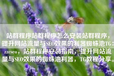 站群程序站群程序怎么安装站群程序，提升网站流量与SEO效果的利器蜘蛛池TG：zzcseo，站群程序安装指南，提升网站流量与SEO效果的蜘蛛池利器，TG教程分享。