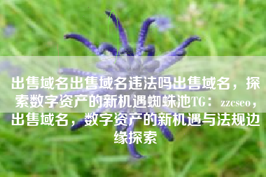出售域名出售域名违法吗出售域名，探索数字资产的新机遇蜘蛛池TG：zzcseo，出售域名，数字资产的新机遇与法规边缘探索