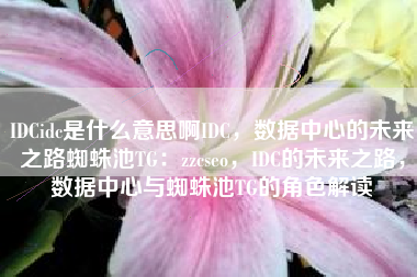 IDCidc是什么意思啊IDC，数据中心的未来之路蜘蛛池TG：zzcseo，IDC的未来之路，数据中心与蜘蛛池TG的角色解读