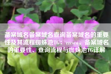 备案域名备案域名查询备案域名的重要性及其流程蜘蛛池TG：zzcseo，备案域名的重要性、查询流程与蜘蛛池TG详解