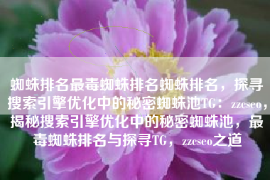 蜘蛛排名最毒蜘蛛排名蜘蛛排名，探寻搜索引擎优化中的秘密蜘蛛池TG：zzcseo，揭秘搜索引擎优化中的秘密蜘蛛池，最毒蜘蛛排名与探寻TG，zzcseo之道