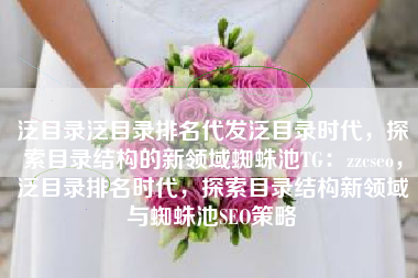 泛目录泛目录排名代发泛目录时代，探索目录结构的新领域蜘蛛池TG：zzcseo，泛目录排名时代，探索目录结构新领域与蜘蛛池SEO策略