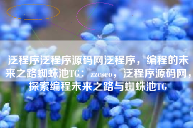 泛程序泛程序源码网泛程序，编程的未来之路蜘蛛池TG：zzcseo，泛程序源码网，探索编程未来之路与蜘蛛池TG