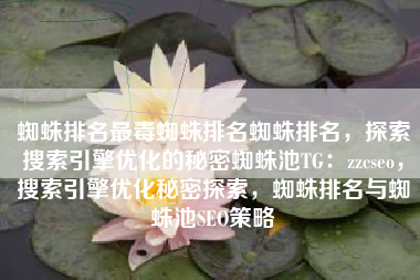 蜘蛛排名最毒蜘蛛排名蜘蛛排名，探索搜索引擎优化的秘密蜘蛛池TG：zzcseo，搜索引擎优化秘密探索，蜘蛛排名与蜘蛛池SEO策略