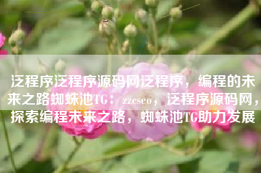 泛程序泛程序源码网泛程序，编程的未来之路蜘蛛池TG：zzcseo，泛程序源码网，探索编程未来之路，蜘蛛池TG助力发展