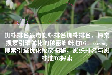 蜘蛛排名最毒蜘蛛排名蜘蛛排名，探索搜索引擎优化的秘密蜘蛛池TG：zzcseo，搜索引擎优化秘密揭秘，蜘蛛排名与蜘蛛池TG探索