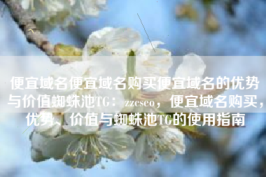 便宜域名便宜域名购买便宜域名的优势与价值蜘蛛池TG：zzcseo，便宜域名购买，优势、价值与蜘蛛池TG的使用指南