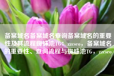 备案域名备案域名查询备案域名的重要性及其流程蜘蛛池TG：zzcseo，备案域名的重要性、查询流程与蜘蛛池TG，zzcseo