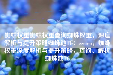 蜘蛛权重蜘蛛权重查询蜘蛛权重，深度解析与提升策略蜘蛛池TG：zzcseo，蜘蛛权重深度解析与提升策略，查询、解析蜘蛛池TG