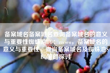 备案域名备案域名查询备案域名的意义与重要性蜘蛛池TG：zzcseo，备案域名的意义与重要性，查询备案域名及蜘蛛池SEO策略探讨