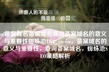 备案域名备案域名查询备案域名的意义与重要性蜘蛛池TG：zzcseo，备案域名的意义与重要性，查询备案域名，蜘蛛池SEO策略解析