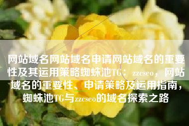 网站域名网站域名申请网站域名的重要性及其运用策略蜘蛛池TG：zzcseo，网站域名的重要性、申请策略及运用指南，蜘蛛池TG与zzcseo的域名探索之路