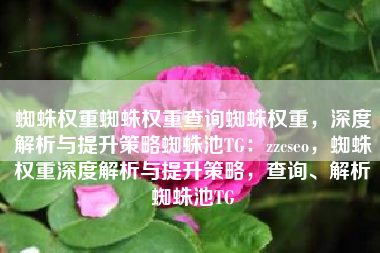 蜘蛛权重蜘蛛权重查询蜘蛛权重，深度解析与提升策略蜘蛛池TG：zzcseo，蜘蛛权重深度解析与提升策略，查询、解析蜘蛛池TG