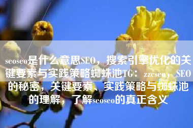 seoseo是什么意思SEO，搜索引擎优化的关键要素与实践策略蜘蛛池TG：zzcseo，SEO的秘密，关键要素、实践策略与蜘蛛池的理解，了解seoseo的真正含义