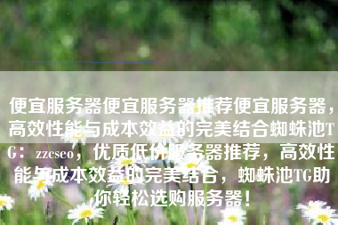 便宜服务器便宜服务器推荐便宜服务器，高效性能与成本效益的完美结合蜘蛛池TG：zzcseo，优质低价服务器推荐，高效性能与成本效益的完美结合，蜘蛛池TG助你轻松选购服务器！