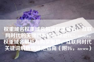 权重域名权重域名购买权重域名，互联网时代的关键词解析蜘蛛池TG：zzcseo，权重域名解析与购买策略，互联网时代关键词解析蜘蛛池指南（附TG，zzcseo）