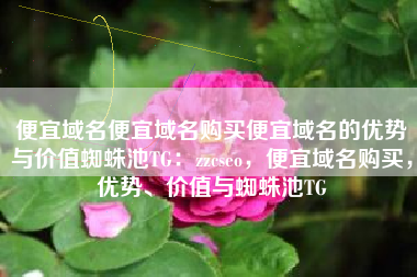 便宜域名便宜域名购买便宜域名的优势与价值蜘蛛池TG：zzcseo，便宜域名购买，优势、价值与蜘蛛池TG
