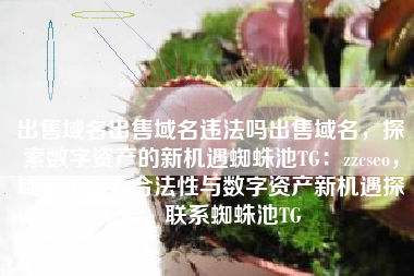 出售域名出售域名违法吗出售域名，探索数字资产的新机遇蜘蛛池TG：zzcseo，域名出售，合法性与数字资产新机遇探索，联系蜘蛛池TG