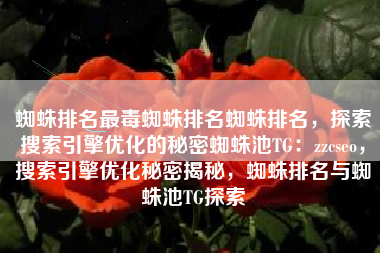 蜘蛛排名最毒蜘蛛排名蜘蛛排名，探索搜索引擎优化的秘密蜘蛛池TG：zzcseo，搜索引擎优化秘密揭秘，蜘蛛排名与蜘蛛池TG探索