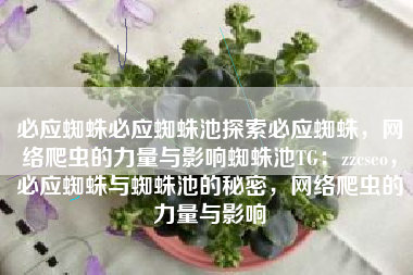 必应蜘蛛必应蜘蛛池探索必应蜘蛛，网络爬虫的力量与影响蜘蛛池TG：zzcseo，必应蜘蛛与蜘蛛池的秘密，网络爬虫的力量与影响