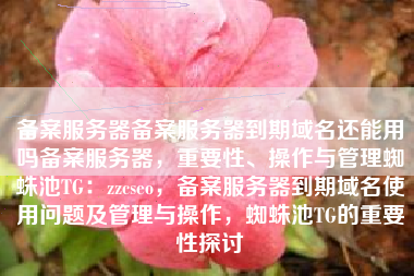 备案服务器备案服务器到期域名还能用吗备案服务器，重要性、操作与管理蜘蛛池TG：zzcseo，备案服务器到期域名使用问题及管理与操作，蜘蛛池TG的重要性探讨
