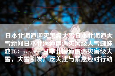 日本北海道迎灾害级大雪日本北海道大雪新闻日本北海道遭遇灾害级大雪蜘蛛池TG：zzcseo，日本北海道遭遇灾害级大雪，大雪引发广泛关注与紧急应对行动