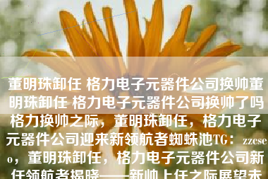 董明珠卸任 格力电子元器件公司换帅董明珠卸任 格力电子元器件公司换帅了吗格力换帅之际，董明珠卸任，格力电子元器件公司迎来新领航者蜘蛛池TG：zzcseo，董明珠卸任，格力电子元器件公司新任领航者揭晓——新帅上任之际展望未来发展（附蜘蛛池TG，zzcseo）