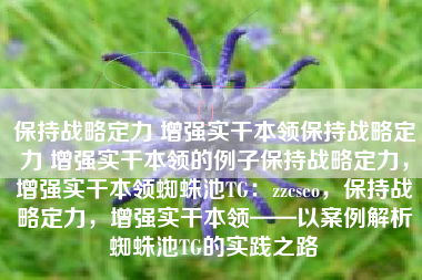 保持战略定力 增强实干本领保持战略定力 增强实干本领的例子保持战略定力，增强实干本领蜘蛛池TG：zzcseo，保持战略定力，增强实干本领——以案例解析蜘蛛池TG的实践之路