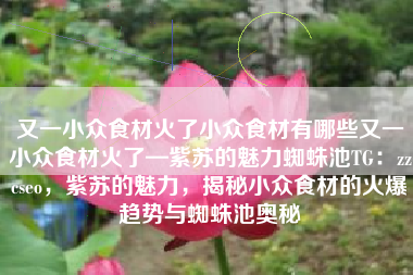 又一小众食材火了小众食材有哪些又一小众食材火了—紫苏的魅力蜘蛛池TG：zzcseo，紫苏的魅力，揭秘小众食材的火爆趋势与蜘蛛池奥秘