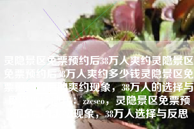 灵隐景区免票预约后38万人爽约灵隐景区免票预约后38万人爽约多少钱灵隐景区免票预约背后的爽约现象，38万人的选择与反思蜘蛛池TG：zzcseo，灵隐景区免票预约背后的爽约现象，38万人选择与反思