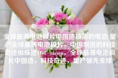 全球最薄电池极片中国造最薄的电池 量产全球最薄电池极片，中国制造的科技奇迹蜘蛛池TG：zzcseo，全球最薄电池极片中国造，科技奇迹，量产领先全球