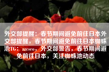 外交部提醒：春节期间避免前往日本外交部提醒，春节期间避免前往日本蜘蛛池TG：zzcseo，外交部警告，春节期间避免前往日本，关注蜘蛛池动态