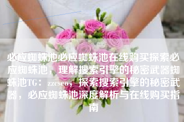 必应蜘蛛池必应蜘蛛池在线购买探索必应蜘蛛池，理解搜索引擎的秘密武器蜘蛛池TG：zzcseo，探索搜索引擎的秘密武器，必应蜘蛛池深度解析与在线购买指南