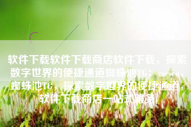 软件下载软件下载商店软件下载，探索数字世界的便捷通道蜘蛛池TG：zzcseo，蜘蛛池TG，探索数字世界的便捷通道，软件下载商店一站式服务
